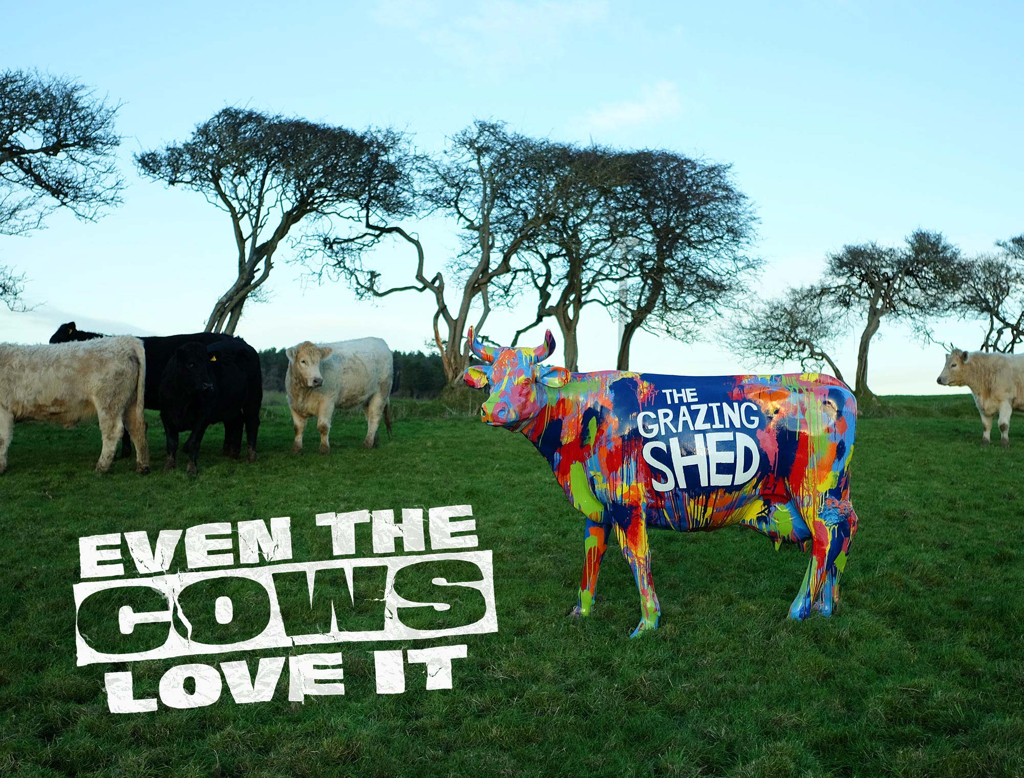 grazing shed cardiff cow art design pritchard vegan dirty sanchez veganuary burger logo