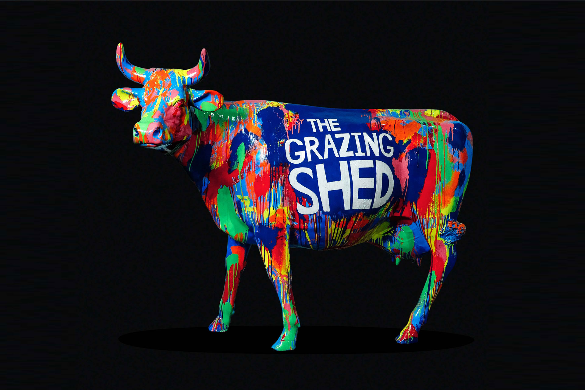 The Grazing Shed Super Tidy Burgers Branding Graphic Design 